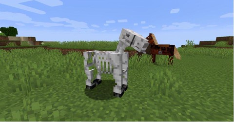 我的世界骷髅马装什么[图2]