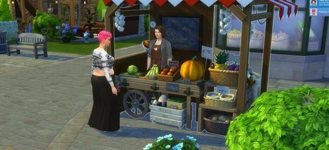 模拟人生4怎么买食材[图2]